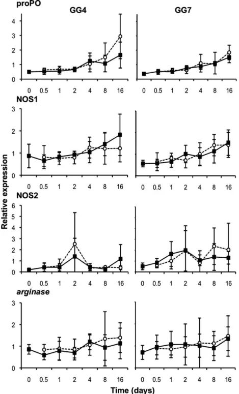 Fig. 4. Long-term relative expression of candidate immune system genes in Experiment E (Sp1, German clones)