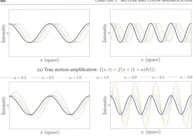 Figure  3.4:  Illustration  of motion  amplification  on  a  ID  signal  for  different  spatial  frequencies  and  a values