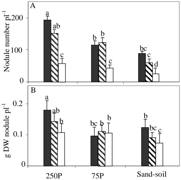 Figure  3.  Effect  of  G.  intraradices  on  number  (A)  and  dry  weight  (B)  of  nodules  of  common  bean  genotype  Flamingo,  grown  in  sand-soil  and  in  hydroaeroponic  culture  under  P  sufficiency  (250  P)  versus  P  deficiency  (75  P)  a