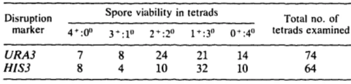 FIG.  2.  Gel  transfer  hybridization  of  total  yeast  DNA  from strains  transformed  with  the  tubl::HIS3  insertion-deletion   construc-tion