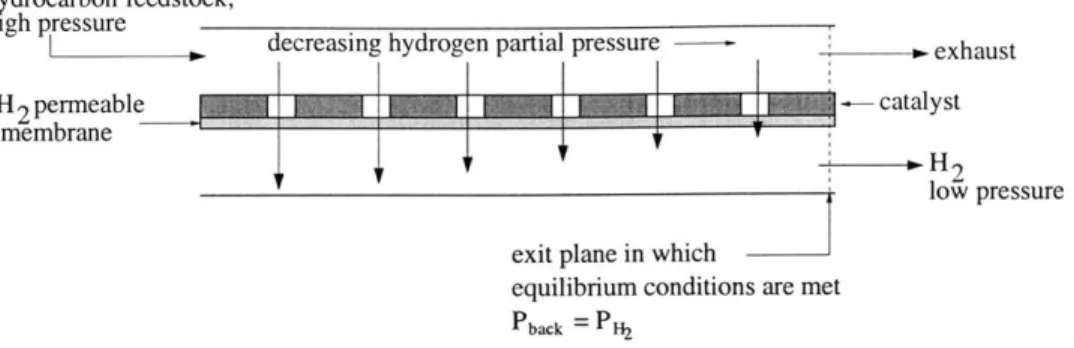 Figure  2.3:  Illustration  of  where  equilibrium  conditions  are  expected  in a  membrane  reactor.
