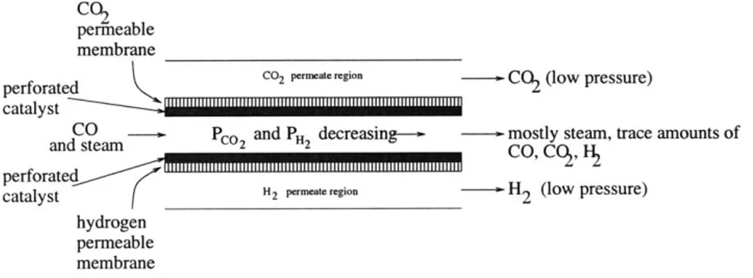 Figure  3.2:  Schematic  of the proposed  membrane  reactor  for the  water-gas  shift