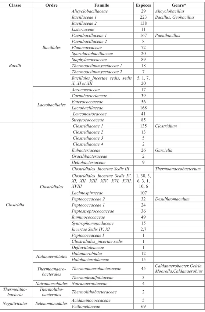 Tableau 1 : Focus sur le phylum des Firmicutes et des principaux genres bactériens sporulants  en agroalimentaire * (rdp.cme.msu.edu 18/03/2015) 