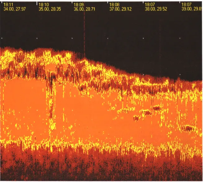 Figure  3-3:  Expanded  view of the cross-sectional  imaged  produced  by the  sub-bottom profiler.