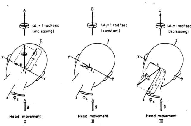 Figure  2.10:  Effects  of whole-body  accelerations  preceding  head  movements  during  Coriolis cross-coupled  stimulation  (from  Guedry  and  Benson,1978).