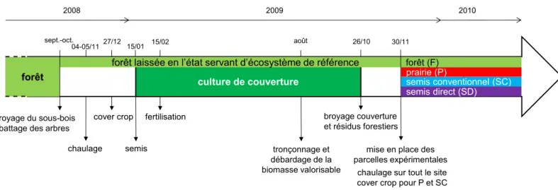Figure 12. Représentation schématique des étapes de déforestation par la méthode ‘chop-and-mulch’ 