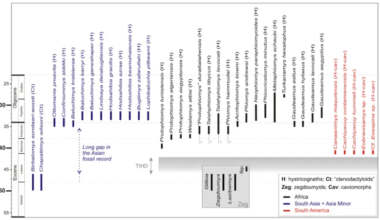 Figure 7. Temporal distribution of hystricognathous rodents during the Paleogene. Asian “ctenodactyloids” (Ct) are the sister group of the Hystricognathi clade