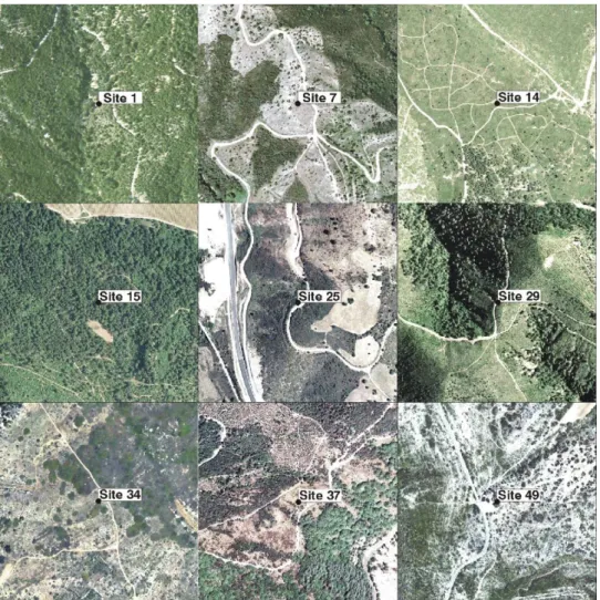 Figure 2. Exemples of surveyed sites on the   BD-Ortho (natural color image at 50 cm  spatial resolution)