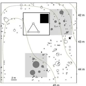 Fig. 1   Map of the study site. Grey areas indicate the two plots where  the labelling experiment was conducted