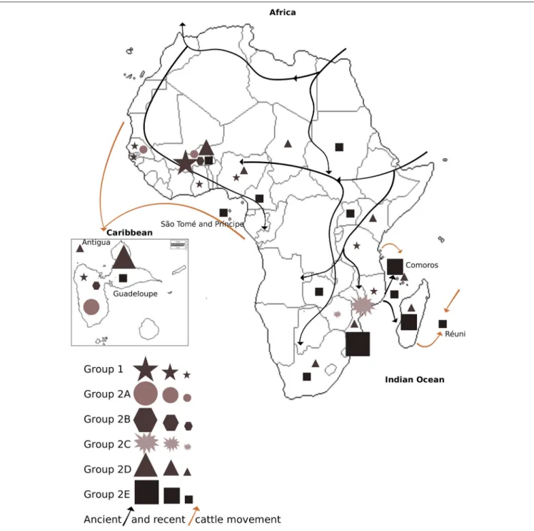 FIGURE 4 | Distribution of E. ruminantium genetic groups and subgroups 1, 2A, 2B, 2C, 2D, and 2E in each sampled country within Africa, Caribbean, and Indian Ocean Islands