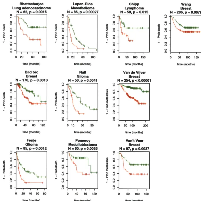 Figure 2  The  CIN25  signature predicts  survival in  12 independent  cohorts representing  six cancer types
