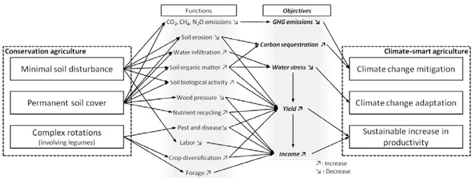 Figure 4: Conservation agriculture &amp; climate-smart agriculture 