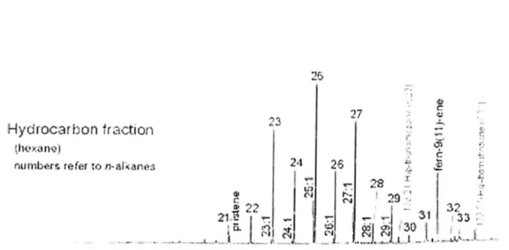 Figure  3-7:  The  is  the  hydrocarbon  fraction  of the  sediment  total  lipid extract