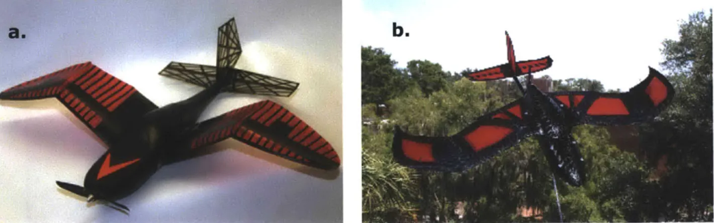 Figure  5: The  two  aircraft  modeled  after the  laughing  gull,  Larus atricilla,  with  wings capable  Of  (a) dihedral  angle  variation  and  (b) sweep  angle  variation