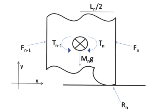 Figure  7: The  forces  acting  on  a segment of the  modeled  Manduca  are shown  in this free  body diagram