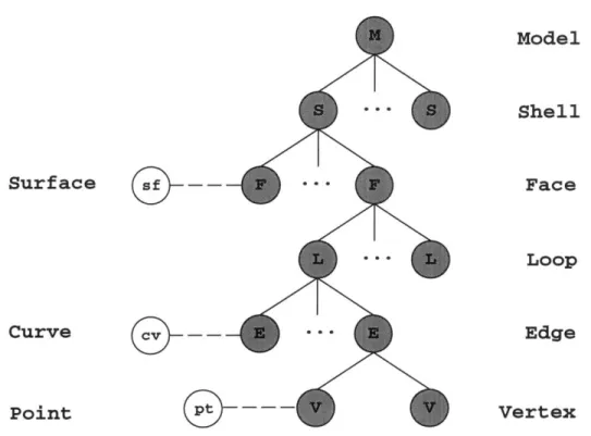 Figure  3-5:  Graph  representation  of the  data  structure