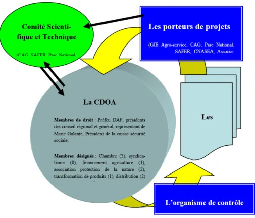 Figure 1. Les différentes parties prenantes de la construction des CTE en Guadeloupe