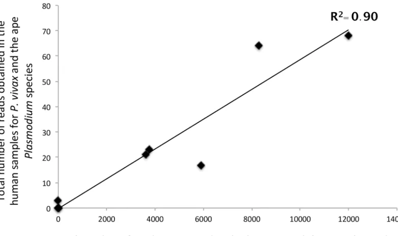 Fig 7. Relationship between (i) the total number of reads sequenced in the “P . vivax and ape Plasmodium” positive controls and (ii) the total number of reads assigned to P 