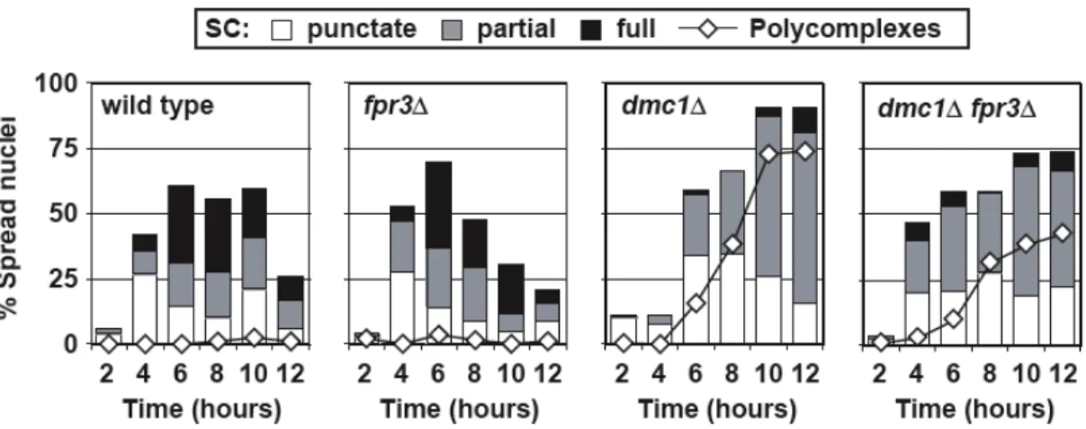Figure 4: The defects in SC formation in dmc1 D  mutants are not rescued by inactivating FPR3.