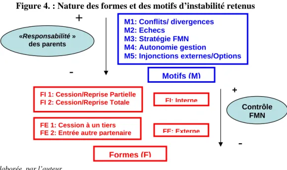 Figure 4. : Nature des formes et des motifs d’instabilité retenus 