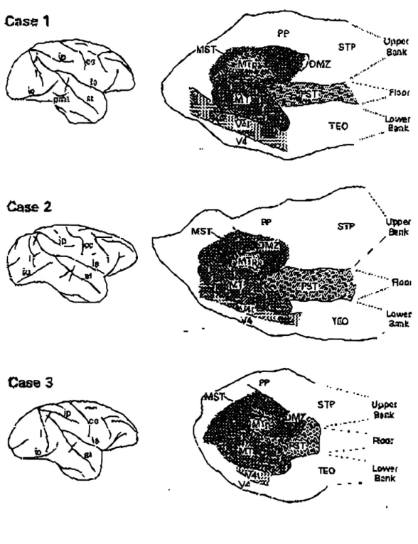 Figure  4 Case  1 Case  2 Case  3 Us$poz - U   -Lower Rank'I. UPPOc Bwik ,.-Lower.vPmeBak.i
