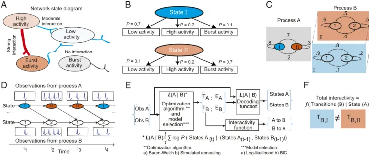 Fig. 1. Description of the NMHS model. (A) Schematic diagram of a neuronal microcircuit with an extraneous neuron
