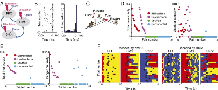 Fig. 2. Verification of interactivity and decoding on neuronal microcircuits. (A) We first identified putative microcircuits: sets of two or three neurons such that the neurons are responders to stimulation of counterpart regions