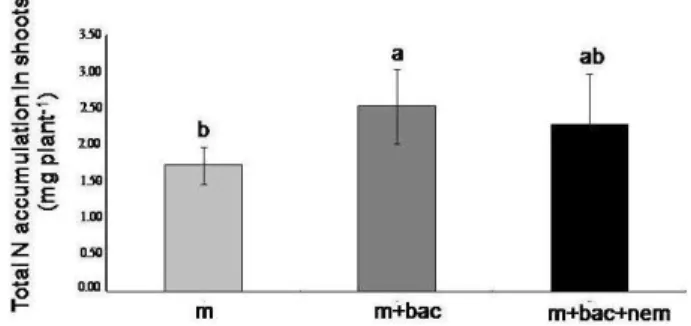 Fig.  4:  Effect  of  bacteria  (B.  subtilis)  and  bacterial-feeding  nematodes  (Rhabditis  sp.)  on  15 N  accumulation  in  shoots  of  P