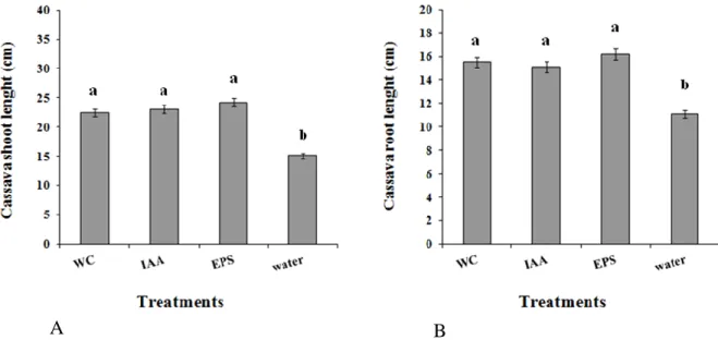Figure  1.  Effects of 48 h cellular fractions and extracellular extracts from cultures of  Bacillus sp