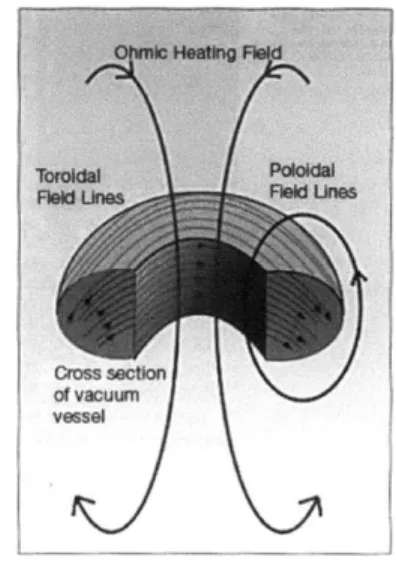 Figure  1-1:  The toroidal  and poloidal  fields  produced  by a tokamak reactor  for  plasma confinement.