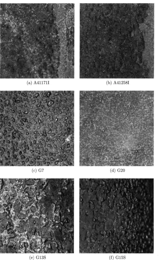 Figure  3-6:  Macrophotographs  of  the  damaged  surfaces  of  tiles  used  in  this  investi- investi-gation.