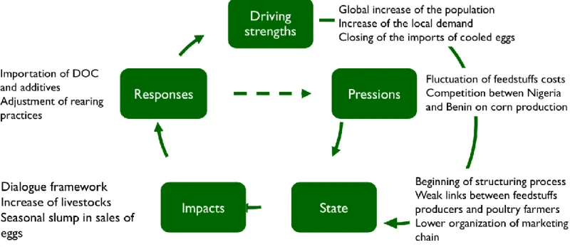Figure 2. Factors explaining the dynamics of the Beninese egg supply chain 