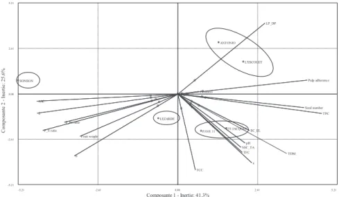 Fig. 1A. PCA biplot of the first two principal components (PC1, PC2), P_Pe ratio, pulp/peel ratio; P_S ratio, pulp/seed ratio; LP_DP, length of peduncle/diameter of peduncle ratio; EC_EL, Equatorial circumference/longitudinal circumference ratio; SSC_TA, s