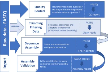 Figure 2. General steps in a genome assembly workflow. Input and output data are indicated for each step.