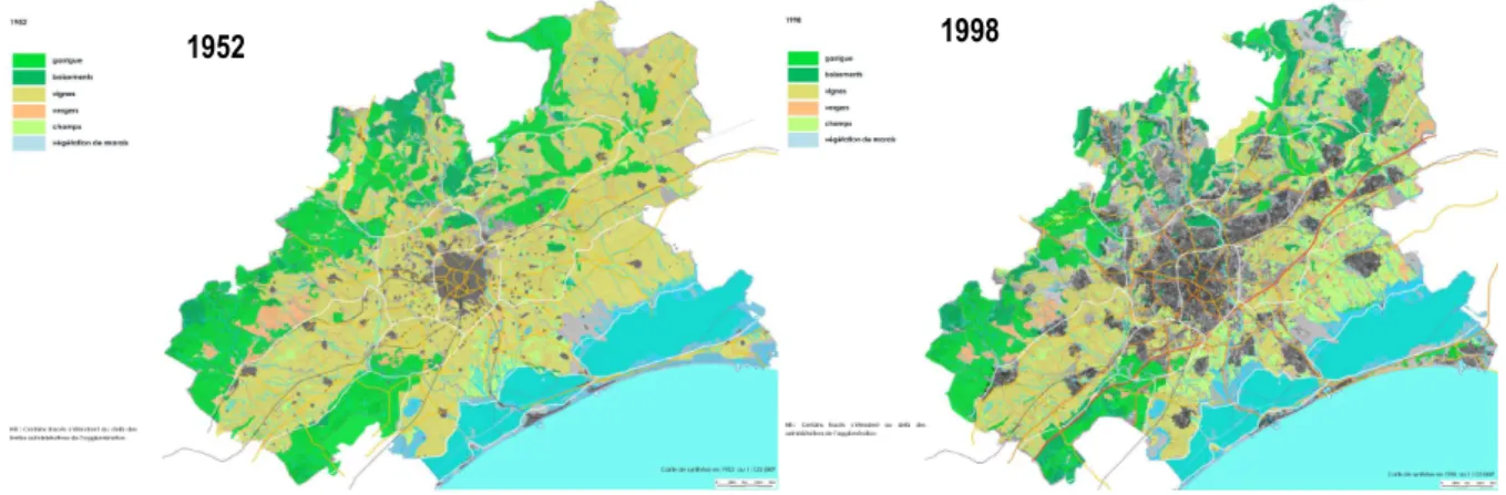 Figure 1 : l’urbanisation de l’Agglomération de Montpellier entre 1952 et 1998 