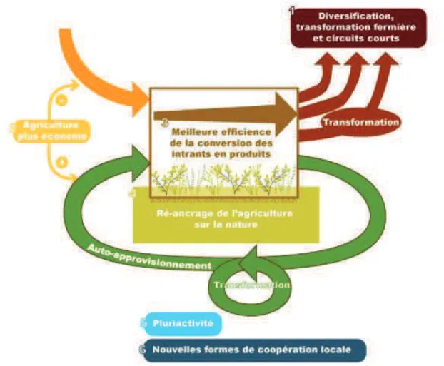Figure 7 : Chorégraphie des mécanismes d'autonomisation (Source : Adapté de Ploeg,  2008) 