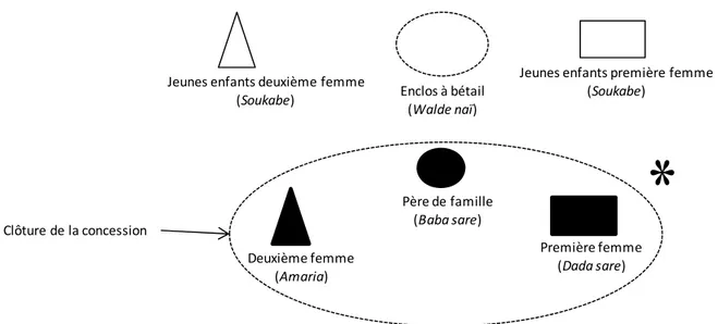 Figure 12. Modélisation de l’organisation de la concession d’un Mbororo polygame 