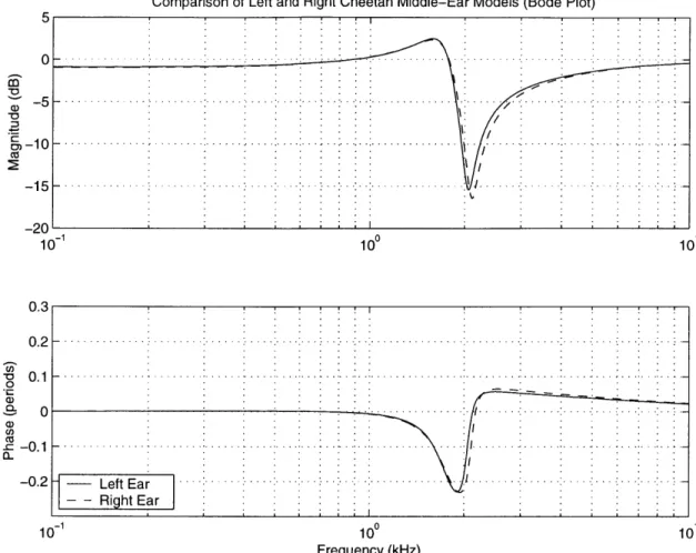 Figure 3.6:  Bode Plots  of GCAV  for Left and Right Cheetah  Middle  Ears Bode plots  of the  magnitude  and phase  of GCAV  for the  left  and right ears of a cheetah