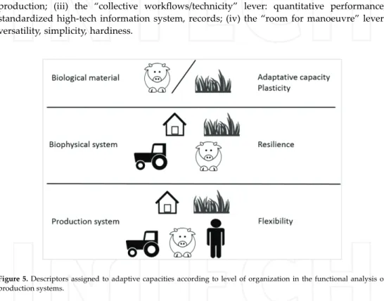 Figure 5. Descriptors assigned to adaptive capacities according to level of organization in the functional analysis of production systems.