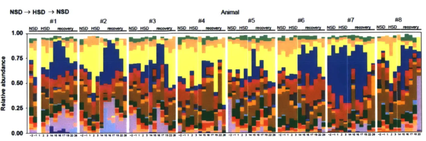 Figure  1.  Fecal microbiome  proffles  of mice kept on a  NSD  or  HSD  over time.