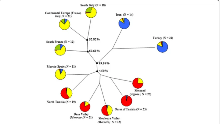 Figure 2 Neighbor-joining clustering of geographic groups based on pairwise Nei ’ s genetic distance values, as well as the distribution of the genetic clusters within each of them