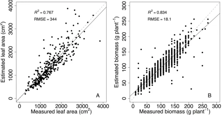 Fig 1. Relationships between measured and estimated whole-plant leaf area (A) and plant biomass (B) at the end of the experiment