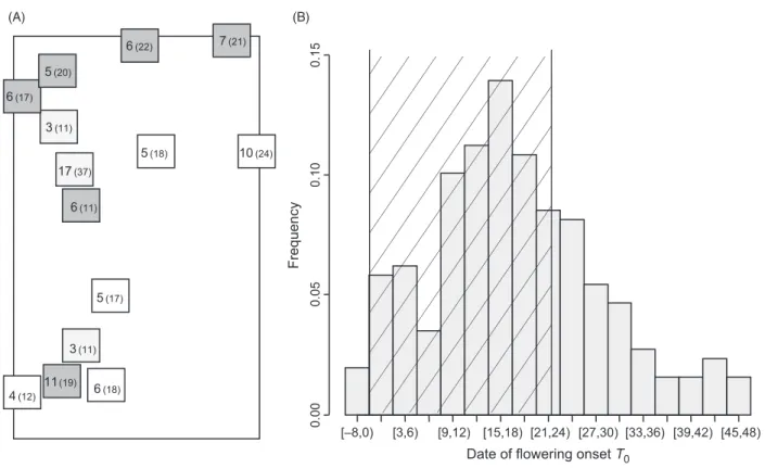 Figure 1 Spatial location and flowering onset of the mother plants sampled in 2009 in the field of Escalquens (2.2 ha)