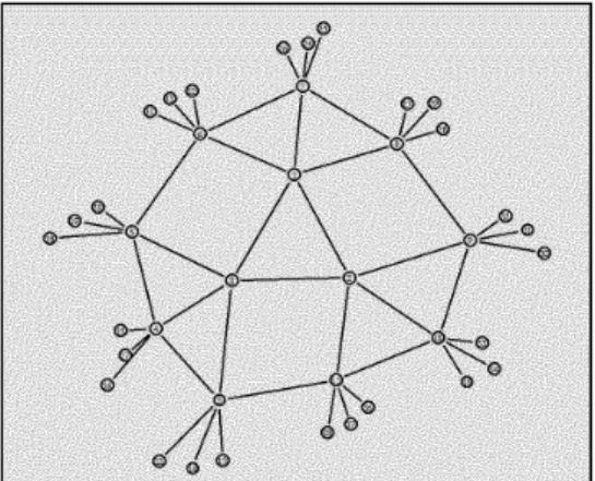 Figure 7. Topologie du réseau