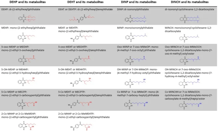 Figure 7. Structure and denomination of DEHP, DEHT, DINP, and DINCH, and their metabolites.