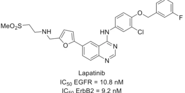 Figure 7. Lapatinib structure and kinase inhibitory potency toward EGFR and ErbB2.