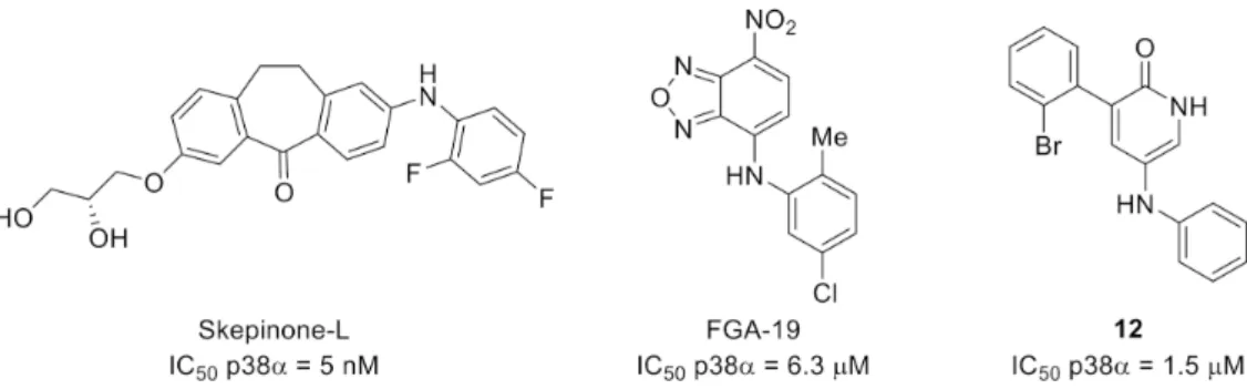 Figure 12. Structures and kinase inhibitory potencies of skepinone-L, FGA-19 and 12.