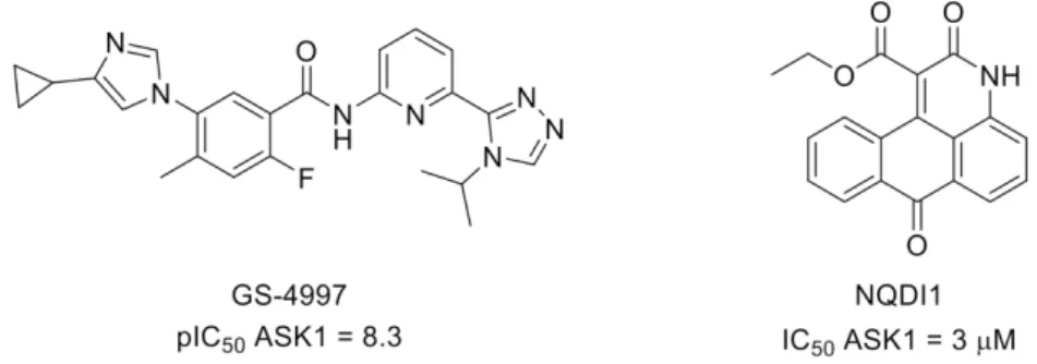 Figure 14. Structure of SP600125 and inhibitory potency toward JNKs.