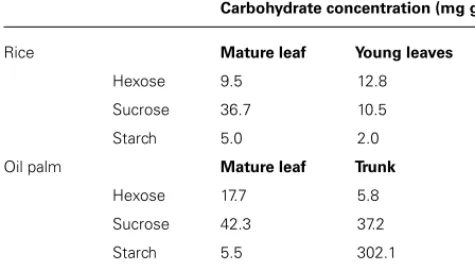Table 1 | Mean concentration of non-structural carbohydrate at the beginning of the greenhouse experiments (onset of the dry-down) for rice (genotype IR64) and oil palm (genotype G01).