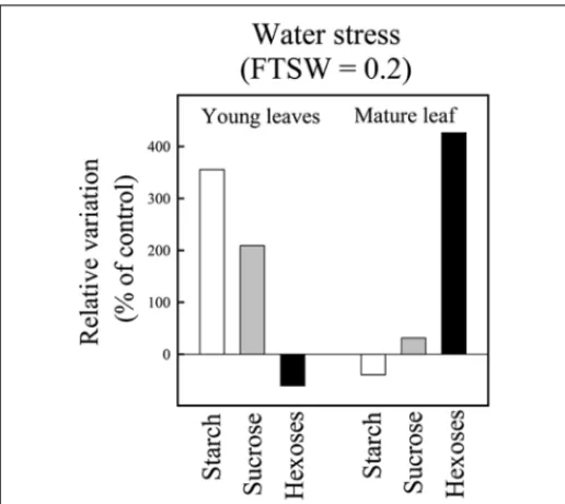 FIGURE 2 | Non-structural carbohydrate concentration in mature and young juvenile leaves at the end of the greenhouse experiment on IR64 genotype
